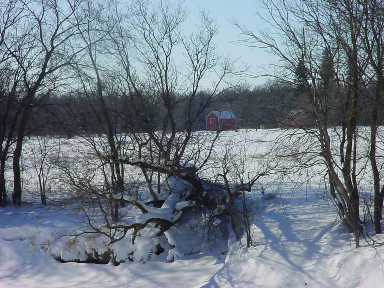 buildingsand river bank