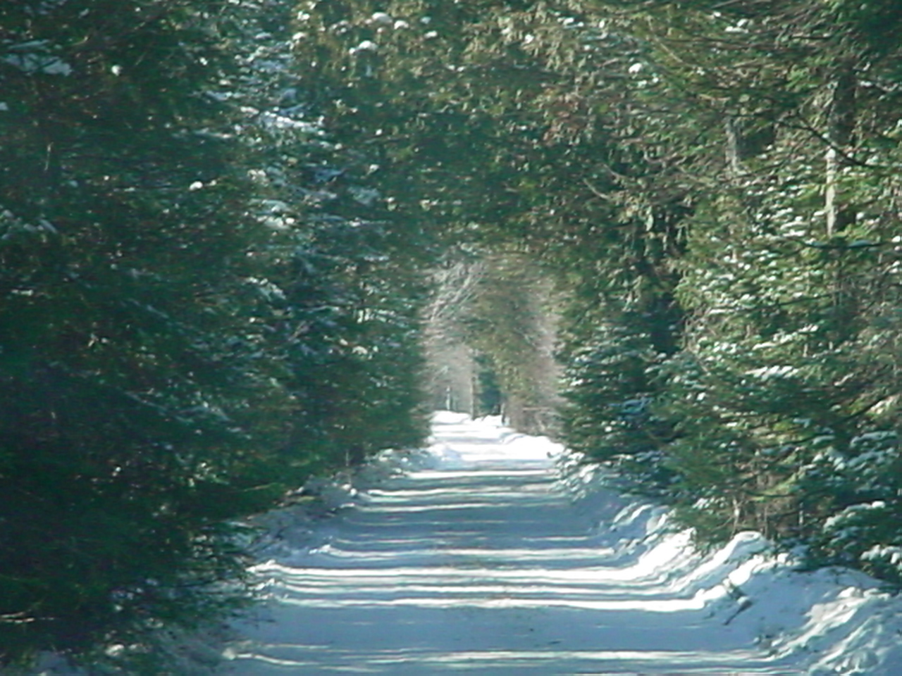 covered road