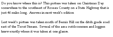 Text Box: Do you know where this is? This picture was taken on Christmas Day somewhere to the southeast of Roseau County on a State Highway that is just 46 miles long.  Answer in next week’s edition

Last week’s picture was taken north of Bemis Hill on the ditch grade road east of the Trout Stream.  Several of the area outdoorsmen and loggers knew exactly where it was taken at one glance. 