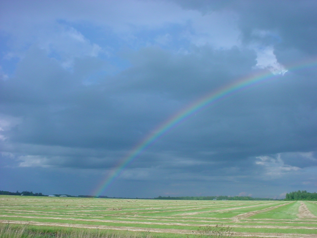 rainbow over swathes