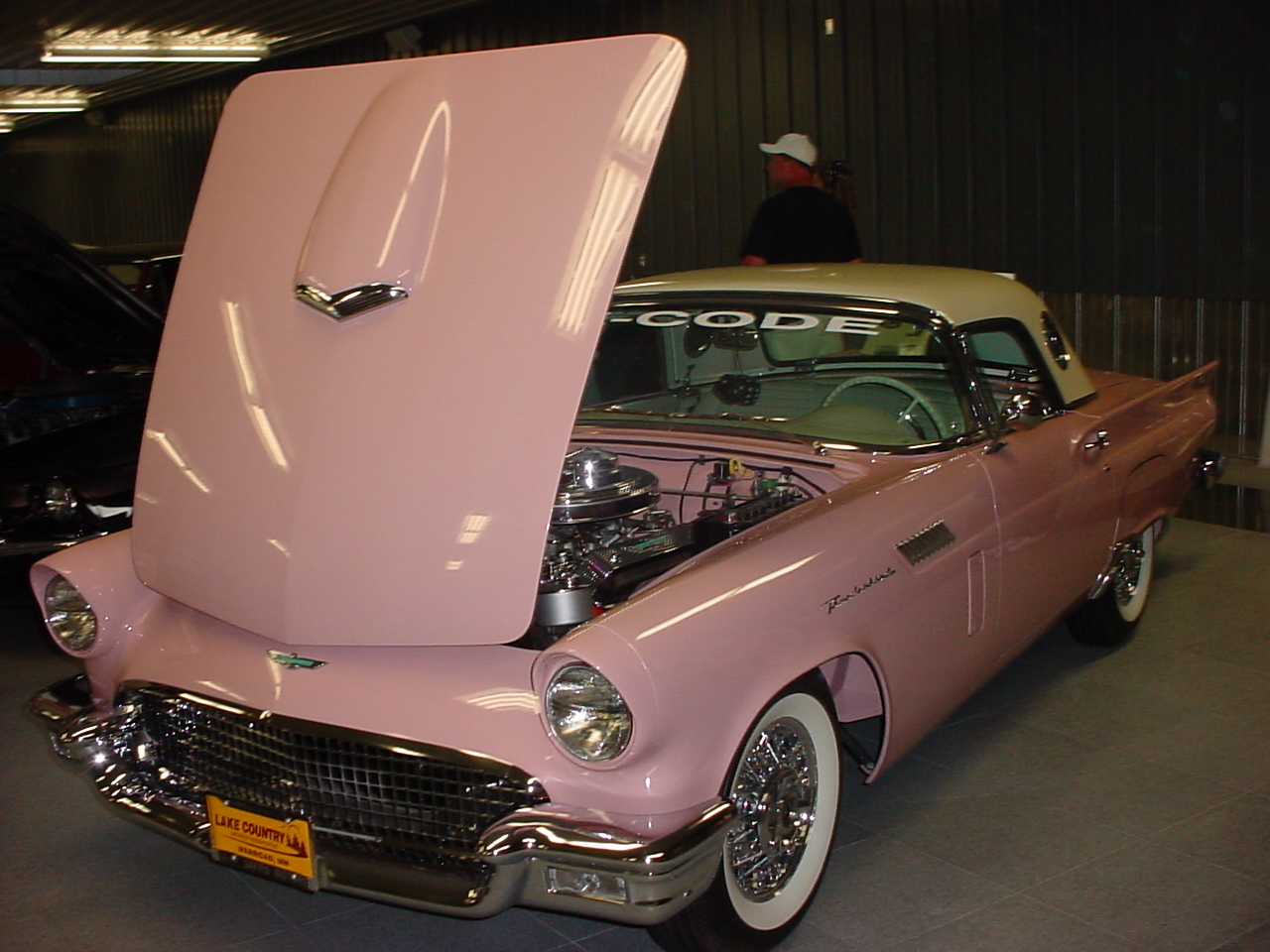 pink t-bird