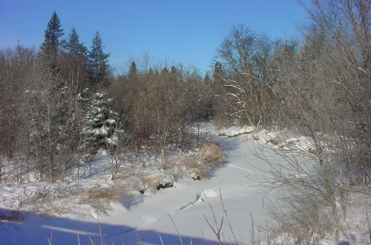 river scene